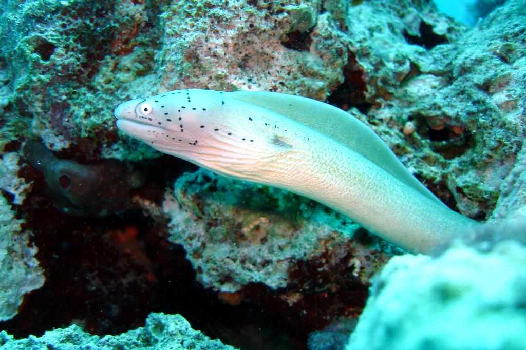 2008-11-08 09-59-15.JPG